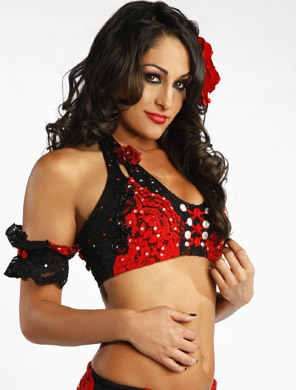 Backstage-Beauties-Nikki-Bella-wwe-divas-5398325-296-390