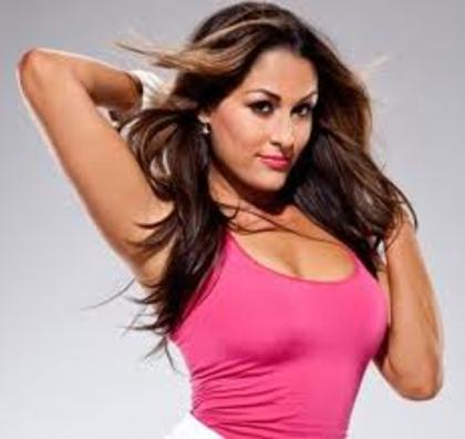 imagesCAVNR4LS - nikki bella