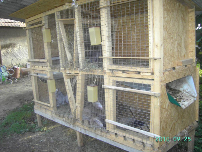 Изображение 119