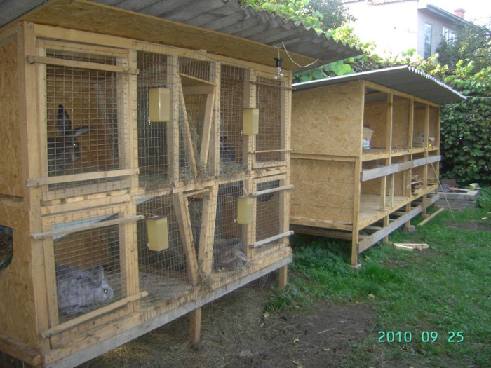 Изображение 117