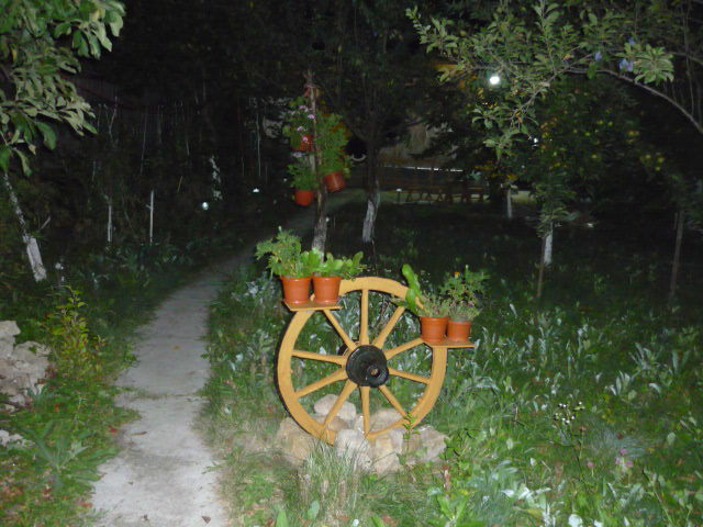 7 august 2011 - Vara