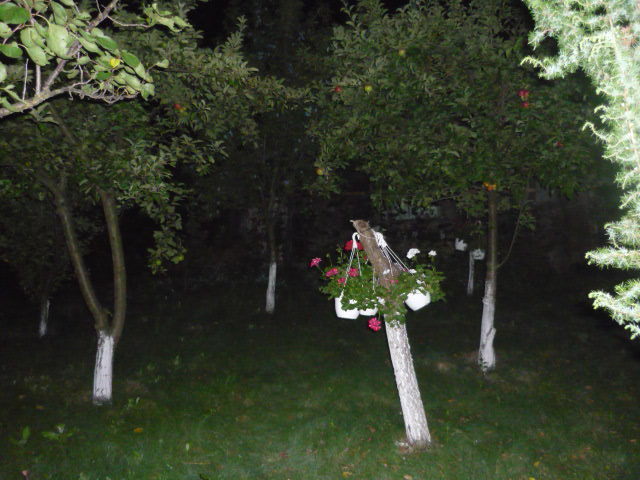 7 august 2011 - Vara