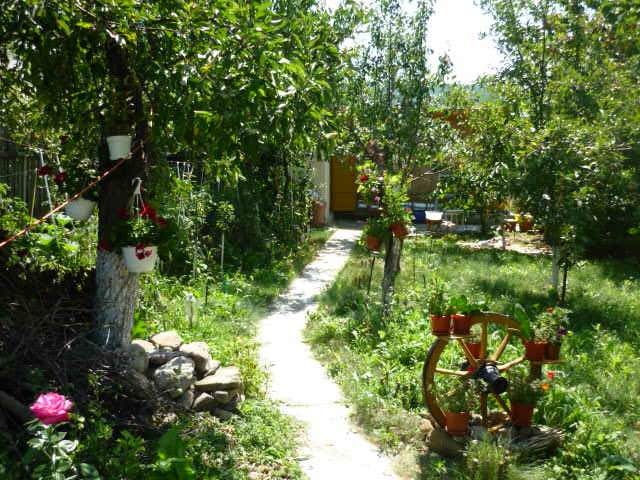 P1140464 - Vara