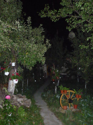 7 august 2011 - Vara