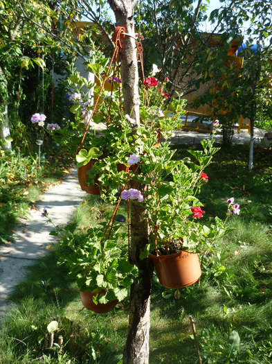 27-28 august 2011 - Vara