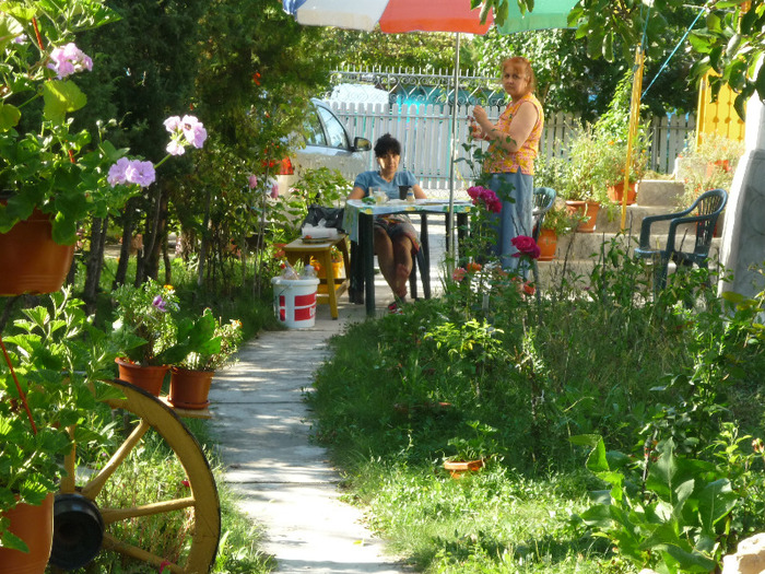 27-28 august 2011 - Vara