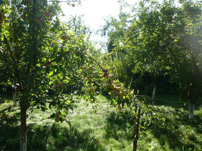 27-28 august 2011 - Vara