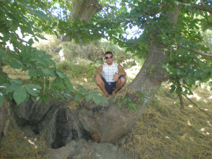 P8200340 - eu