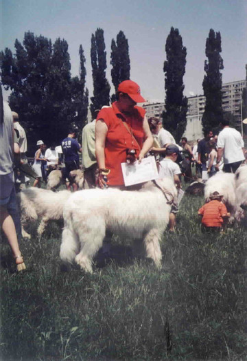 Furtuna de Casa Schor RPJ - Bucuresti Olimpia 17-06-2003