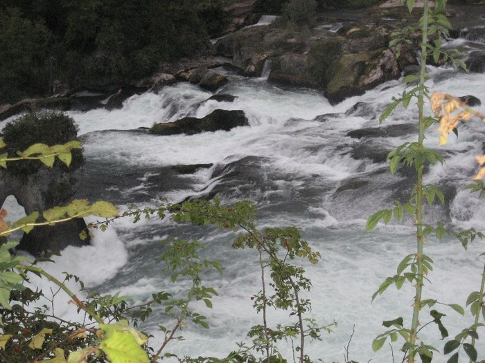 IMG_3872 - cascadele Rinului