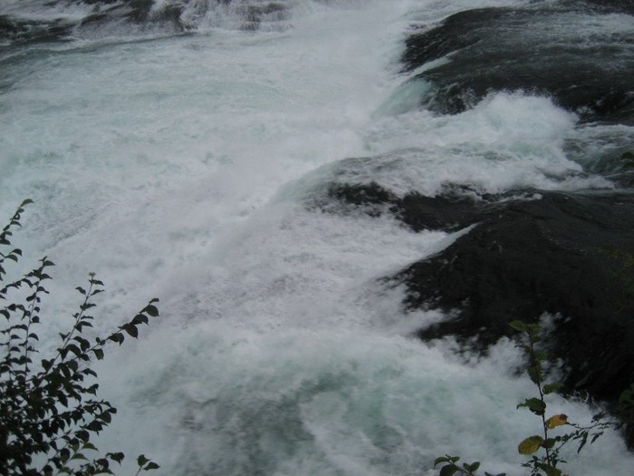 IMG_3879 - cascadele Rinului