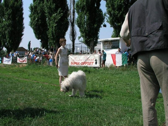 oli 1 - Bucuresti Olimpia 17-06-2003