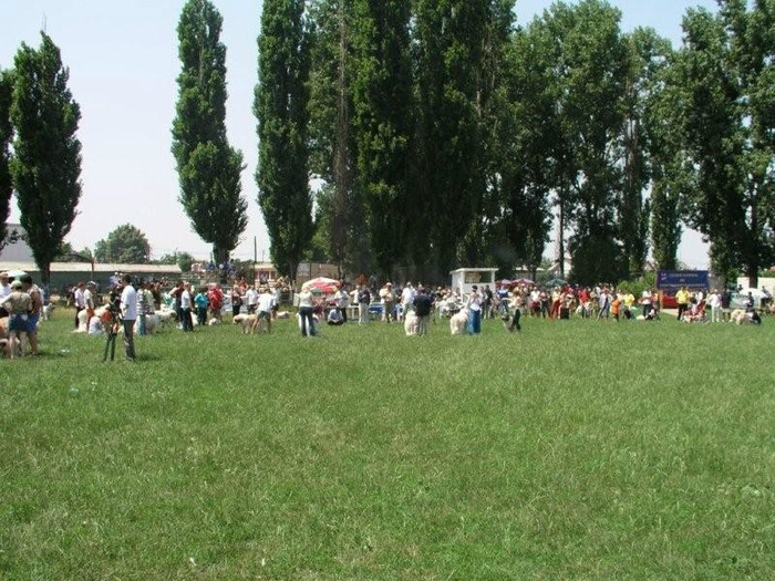 oli 14 - Bucuresti Olimpia 17-06-2003