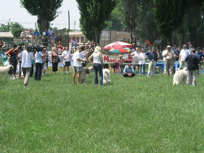 oli 15 - Bucuresti Olimpia 17-06-2003