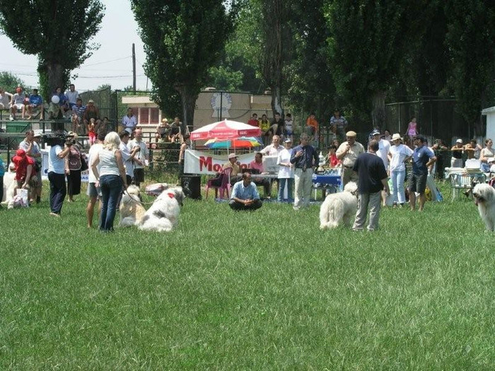 oli 18 - Bucuresti Olimpia 17-06-2003