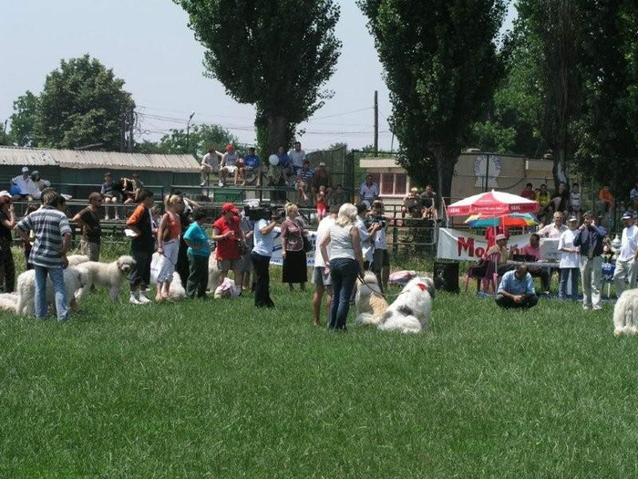 oli 19 - Bucuresti Olimpia 17-06-2003