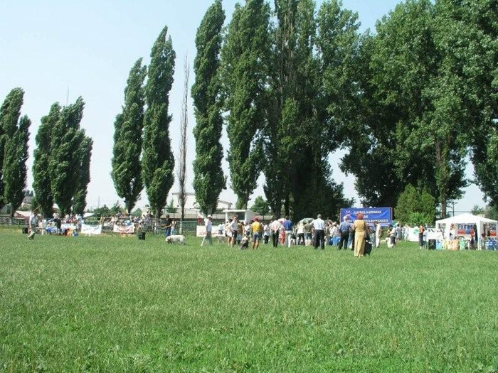 oli 2 - Bucuresti Olimpia 17-06-2003