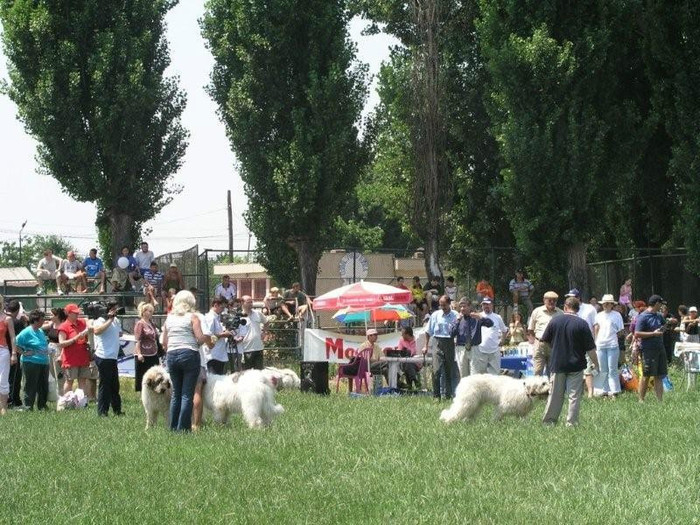 oli 21 - Bucuresti Olimpia 17-06-2003