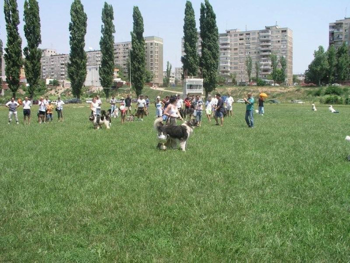 oli 37