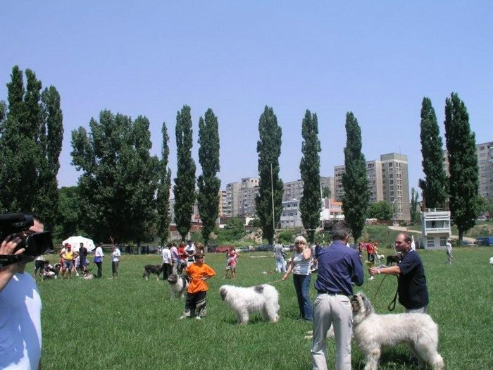 oli 58 - Bucuresti Olimpia 17-06-2003