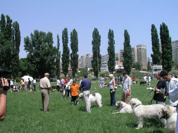 oli 60 - Bucuresti Olimpia 17-06-2003