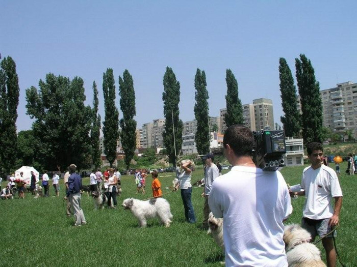 oli 62 - Bucuresti Olimpia 17-06-2003