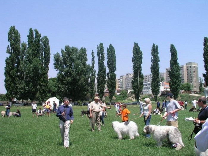 oli 63 - Bucuresti Olimpia 17-06-2003