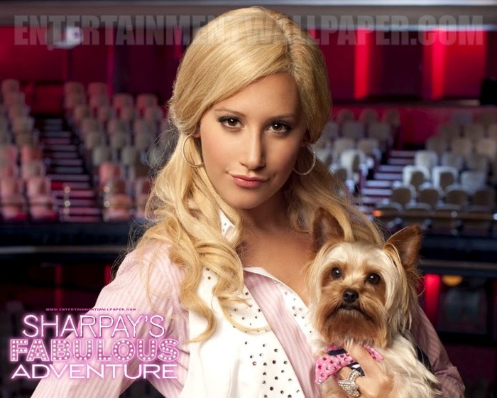 12 - Minunata aventura a lui Sharpay