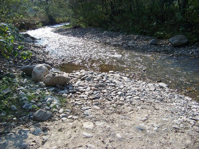 100_7261 - Cimpa Valea Cerbului