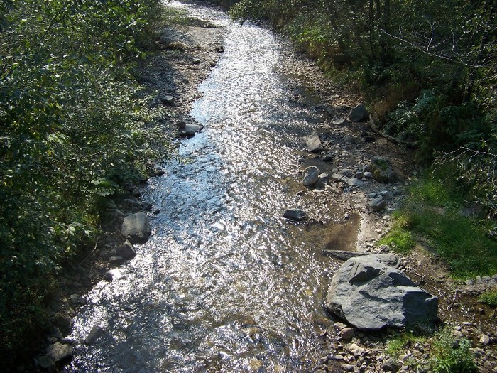 100_7264 - Cimpa Valea Cerbului