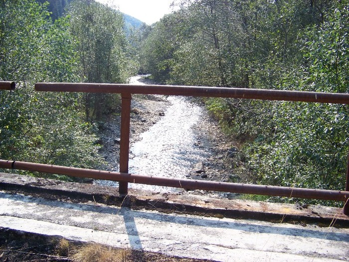 100_7265 - Cimpa Valea Cerbului