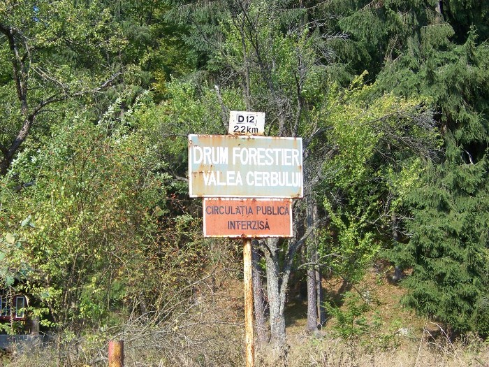 100_7268 - Cimpa Valea Cerbului