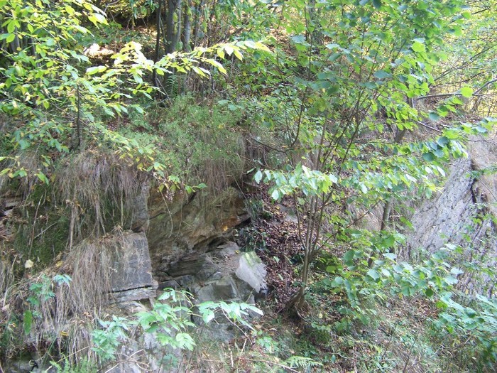 100_7280 - Cimpa Valea Cerbului