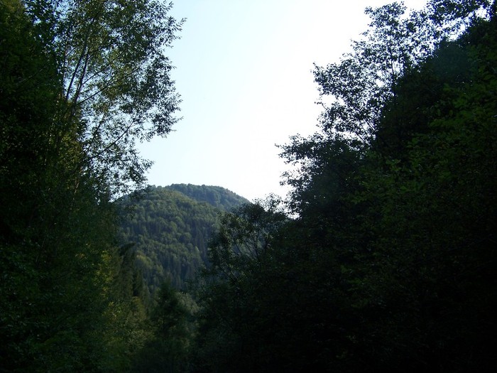 100_7281 - Cimpa Valea Cerbului