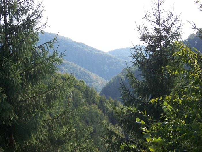 100_7304 - Cimpa Valea Cerbului