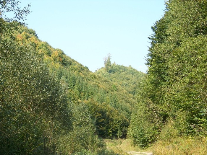 100_7306 - Cimpa Valea Cerbului