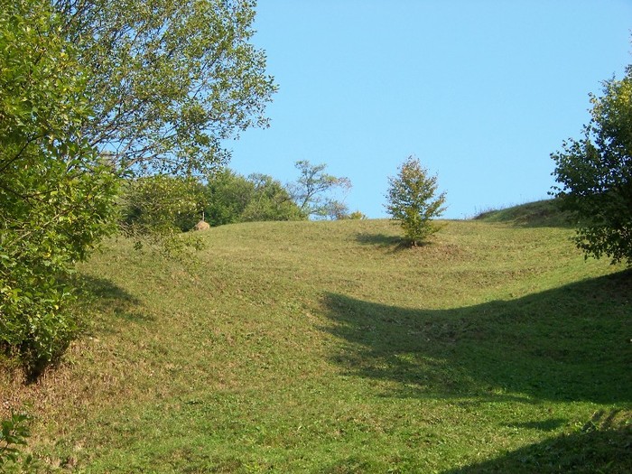 100_7307 - Cimpa Valea Cerbului