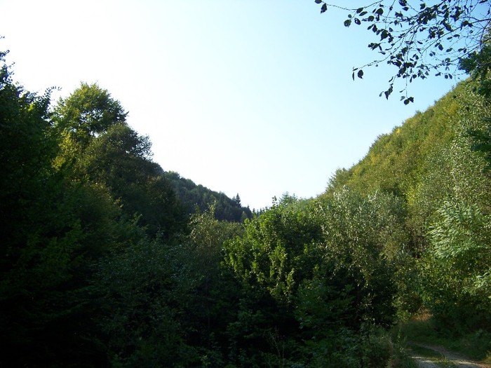 100_7319 - Cimpa Valea Cerbului