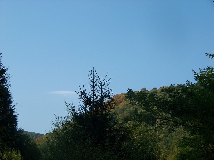 100_7337