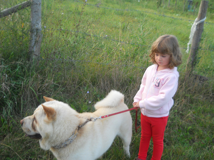 august 2011 567 - sharpei bear coat