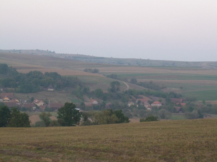 Capatul ESTIC al Satului Palos ,vazut de pe Dealul Branzii la 26 sept. 2011.