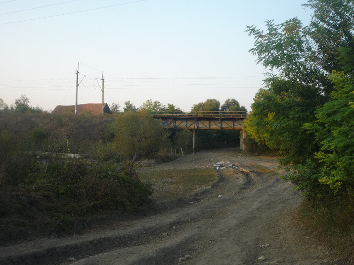 La Palos PODUL DE FIER peste Paraul Bolovanului si Calea Cohalmului ,vazut de la fosta Fantanita -26