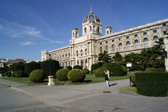 New Image - viena