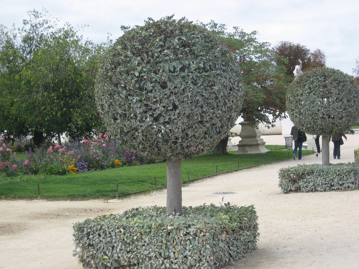 4 - gradinile tuileries