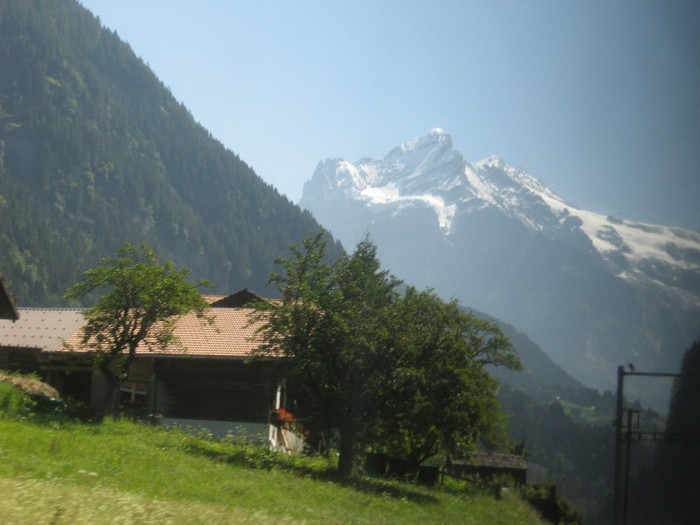 IMG_3217 - excursii 2011 in Alpi