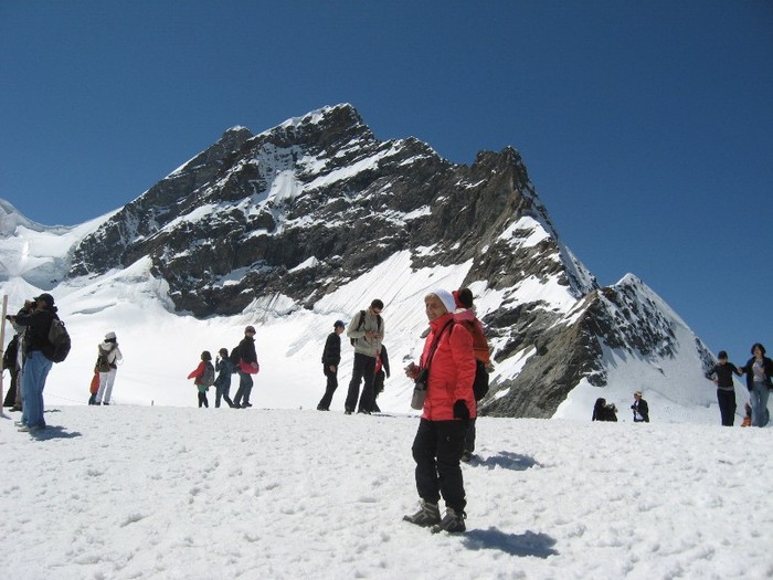 IMG_3339 - excursii 2011 in Alpi