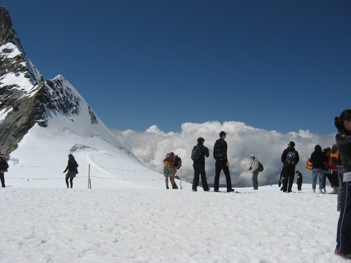 IMG_3340 - excursii 2011 in Alpi