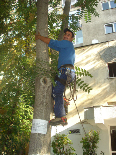 MAI DORELE,VEZI CE TAI:)) - INCEPE MAREA REABILITARE