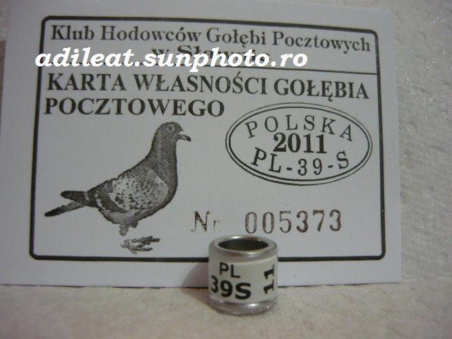 POLONIA-2011,., - POLONIA-PL-ring collection