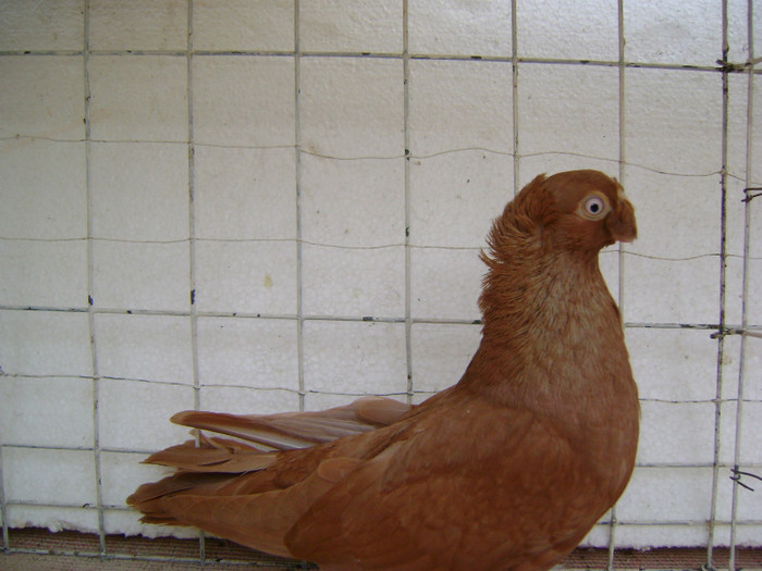 Picture 049 - septembrie 2011